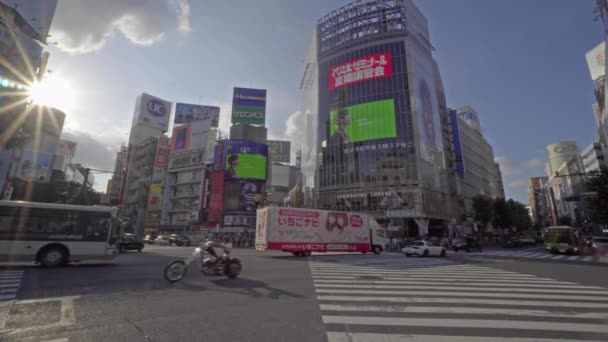 Scenic Footage Modern Megalopolis Asian City — Stock Video