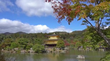 güzel geleneksel Japon pagoda doğal görüntüleri