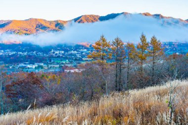 Güzel manzara dağ fuji yamanakako göl çevresinde