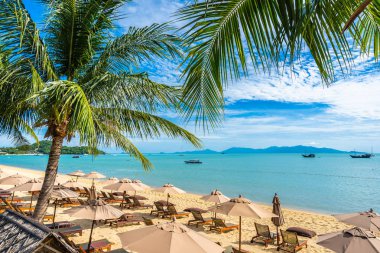 Hindistan cevizi palmiye ağacı ile güzel tropikal plaj deniz ve okyanus bir