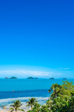 Mavi gökyüzünde hindistan cevizi palmiye ağacı ile güzel tropikal deniz okyanusu 