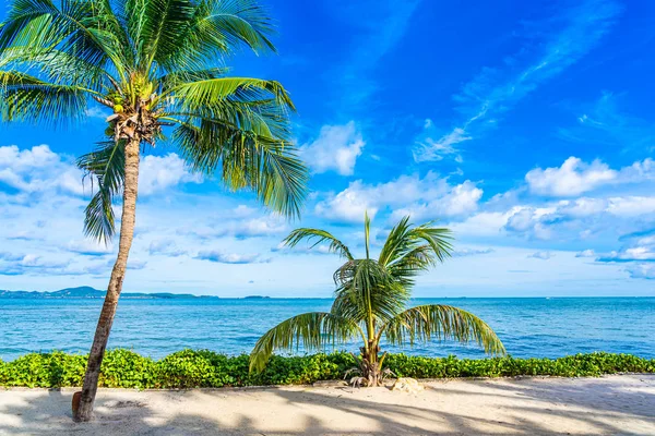 Hindistan cevizi palmiye ağacı Wi ile plaj deniz Okyanusu güzel manzara — Stok fotoğraf