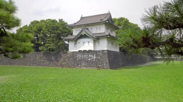 Imágenes Escénicas Hermosa Pagoda Japonesa Tradicional — Vídeo de stock