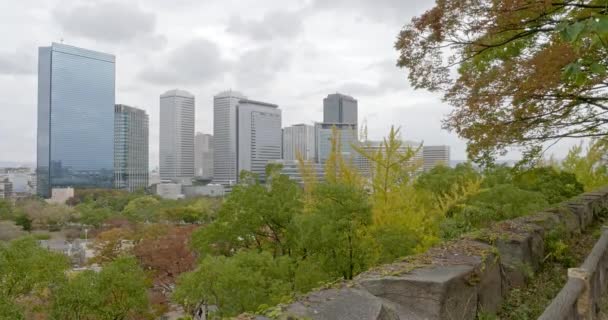 Scénické Záběry Moderního Megalopolis Asijského Města — Stock video