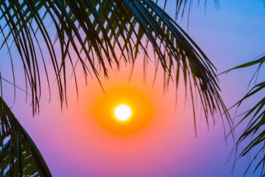 Gündoğumu veya sunse ile hindistan cevizi yaprağı ile güzel açık doğa