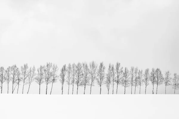 木の枝でのグループと美しい屋外の自然風景 — ストック写真