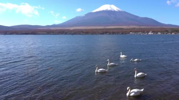 Malownicze Nagranie Pięknej Góry Fuji Japonia — Wideo stockowe