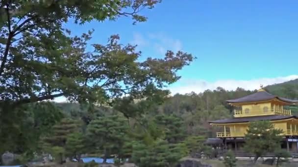 Imágenes Escénicas Hermosa Pagoda Japonesa Tradicional — Vídeo de stock