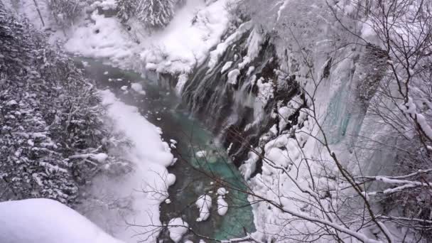 Γραφικό Υλικό Του Όμορφου Χειμερινού Τοπίου Στο Hokkaido Ιαπωνία — Αρχείο Βίντεο