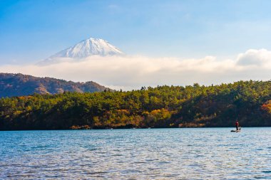 Dağ fuji ile akçaağaç yaprağı ağacın etrafında güzel manzara