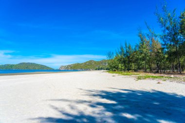 Deniz Okyanusu ve bea güzel açık tropikal doğa manzara