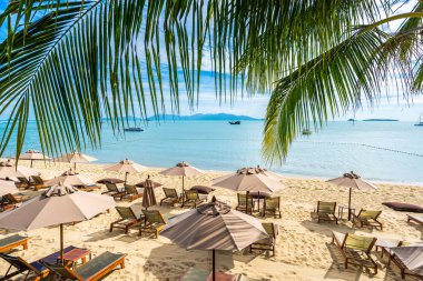 Hindistan cevizi palmiye ağacı ile güzel tropikal plaj deniz ve okyanus bir