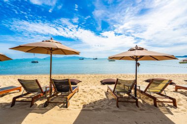 Hindistan cevizi palmiye ağacı ile güzel tropikal plaj deniz ve okyanus bir