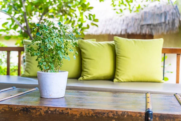 Ваза растение на украшение стола с подушкой на диване кресло — стоковое фото