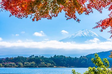 Dağ fuji ile akçaağaç yaprağı ağacın etrafında güzel manzara