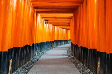 Güzel fushimi Inari tapınak tapınak Kyoto