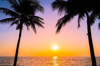 Güzel siluet Hindistan cevizi hurma ağacı gökyüzü neary deniz okyanus üzerinde olması