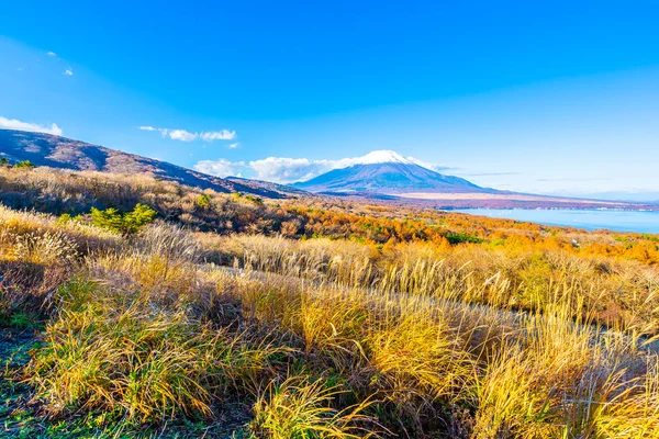 Vackra fuji berg i yamanakako eller yamanaka sjö — Stockfoto