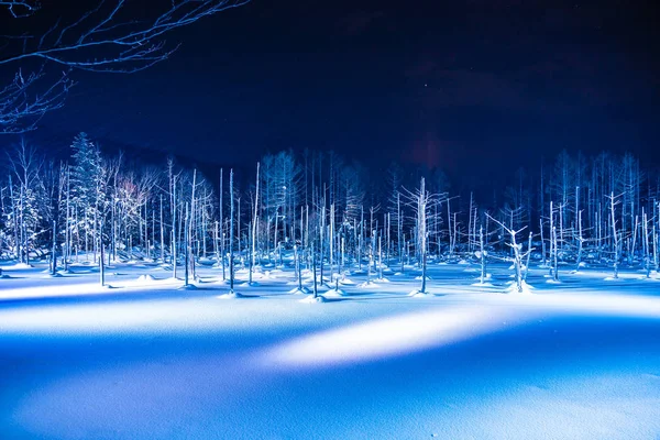 Bellissimo paesaggio esterno con laghetto blu fiume di notte con l — Foto Stock
