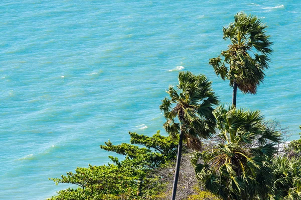 海とココヤシの木 t のビーチの美しい屋外風景 — ストック写真