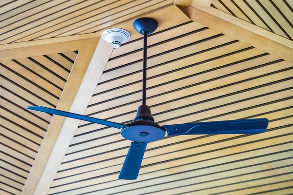 Electric ceiling fan decoration interior