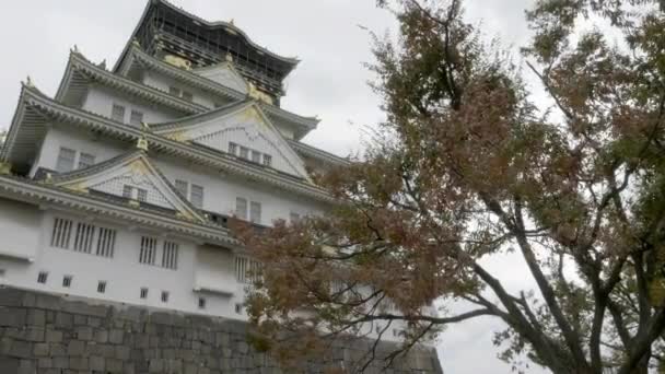 Imágenes Escénicas Hermosa Pagoda Japonesa Tradicional — Vídeos de Stock