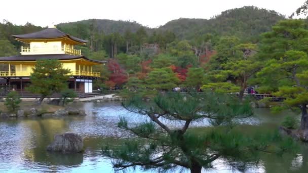 Szenische Aufnahmen Schöner Traditioneller Japanischer Pagode — Stockvideo