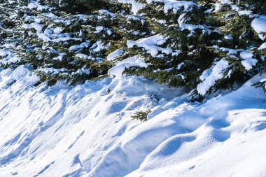 Noel Ağacı ile Güzel Doğa Manzarası