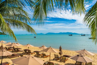 Hindistan cevizi palmiye ağacı ile güzel tropikal plaj deniz ve okyanus bir