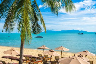 Hindistan cevizi palmiye ağacı ile güzel tropikal plaj deniz ve okyanus bir