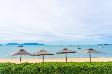 Hindistan cevizi palmiye ağacı ile güzel tropikal plaj deniz ve okyanus bir