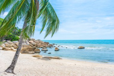 Samui Adası etrafında güzel açık tropikal plaj deniz ile Co