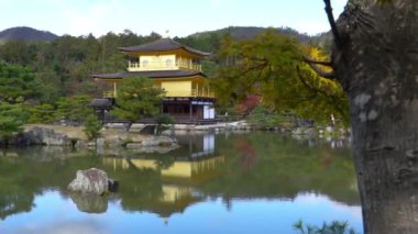güzel geleneksel Japon pagoda doğal görüntüleri