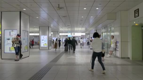 Tokyo Japan Aug 2018 Beelden Van Trein Metrostation Tokio Stad — Stockvideo