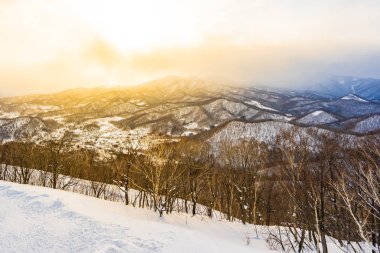 Dağın etrafından kar kış deniz ağacında ile güzel manzara
