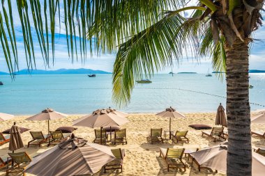 Hindistan cevizi palmiye ağacı ile güzel tropikal plaj deniz ve okyanus bir