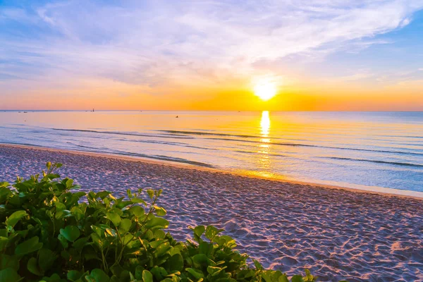 Gyönyörű szabadtéri trópusi természeti táj a tenger strand sunr — Stock Fotó