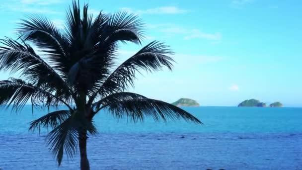 Güzel Dalgalı Denizin Sakin Görüntüleri — Stok video