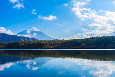 Dağ fuji ile akçaağaç yaprağı ağacın etrafında güzel manzara