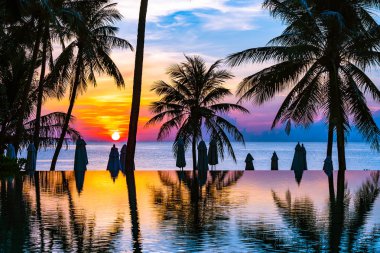 Yüzme havuzu güzel açık tropikal doğa manzara 