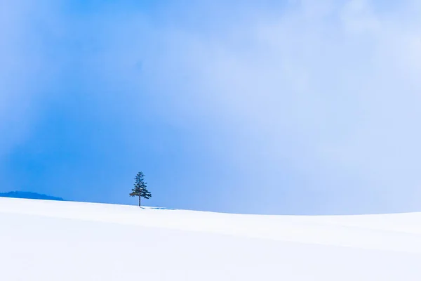 Krásné venkovní přírodní krajina s vánoční strom v zimě — Stock fotografie