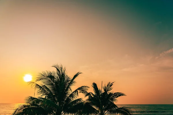 Gyönyörű kültéri természetű kókusz levél napkelte vagy sunse — Stock Fotó