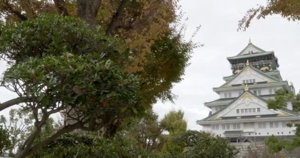 Vyhlídkové Záběry Nádherné Tradiční Japonské Pagody — Stock video