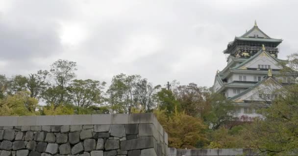 Imágenes Escénicas Hermosa Pagoda Japonesa Tradicional — Vídeo de stock