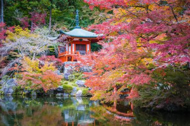 Güzel Daigoji Tapınağı ile renkli ağaç ve yaprak sonbahar s