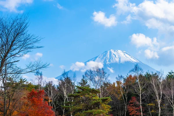 A hegyi fuji maple leaf fa körül gyönyörű táj — Stock Fotó
