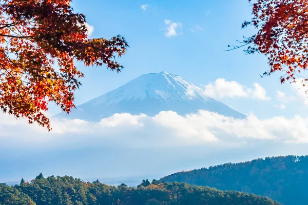 Beautiful landscape of mountain fuji with maple leaf tree around — Stock Photo, Image