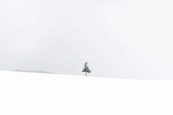Красивий відкритий ландшафт природи з ялинкою взимку — стокове фото