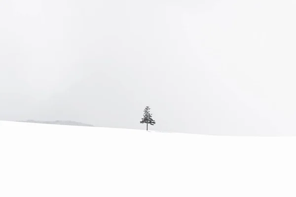 Hermoso paisaje natural al aire libre con árbol de Navidad en invierno — Foto de Stock