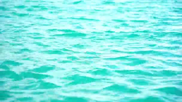 Vollbild Aufnahmen Von Wasser Schwimmbad — Stockvideo